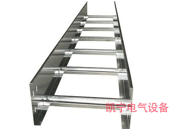 梯式电缆桥架1 (4)